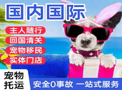 庆阳机场空运国际宠物托运 【国